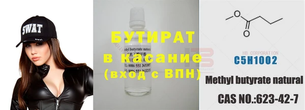 индика Гусь-Хрустальный