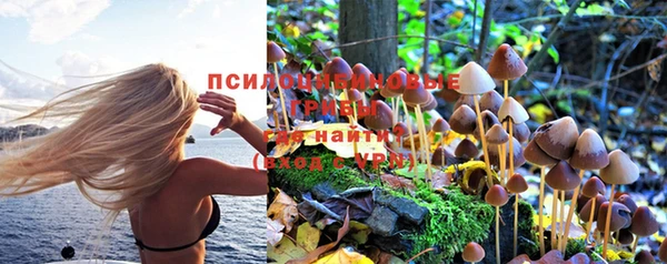 mdma Дмитриев