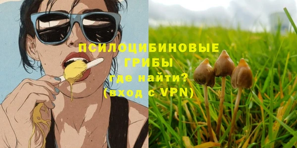 mdma Дмитриев
