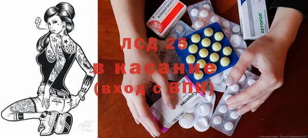 сатива Елизово