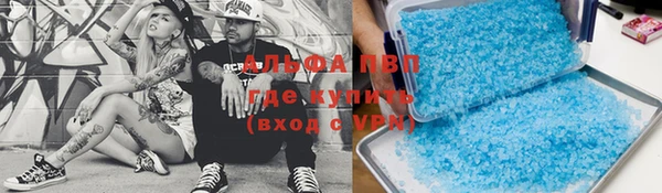 spice Гусев